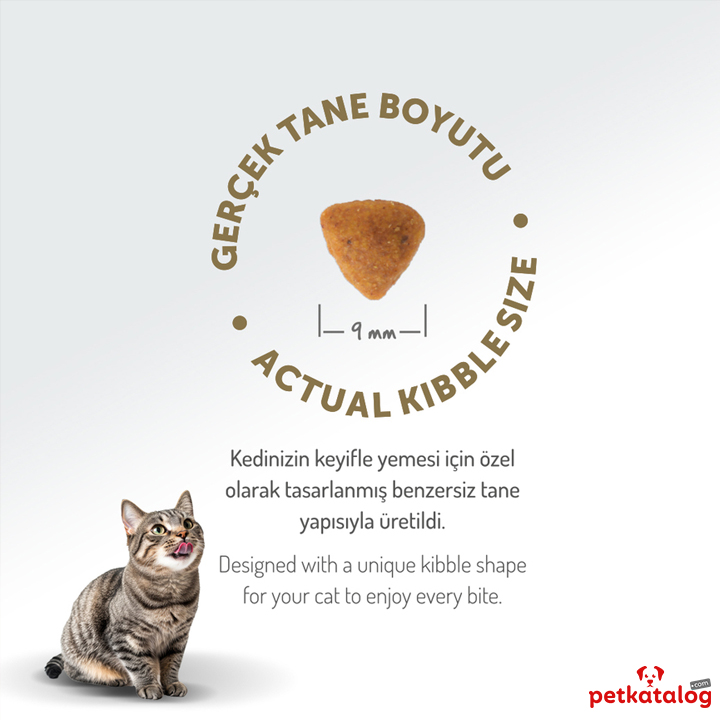 Felicia Urinary Care Adult Chicken Sterilised 2 Kg Kolajen Destekli Hipoalerjenik Tavuklu Kısırlaştırılmış Yetişkin Kedi Maması