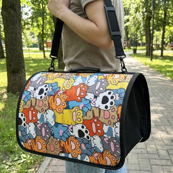 Teng Flybag Renkli Patiler Desenli Taşıma Çantası 25x40x35cm