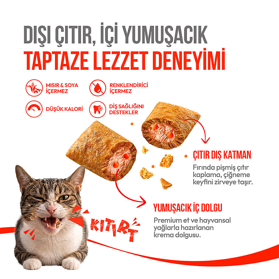 Wanpy Fluffy Topper Dondurularak Kurutulmuş Tavuklu ve Kedi Otlu Kedi Ödül Maması 30gr