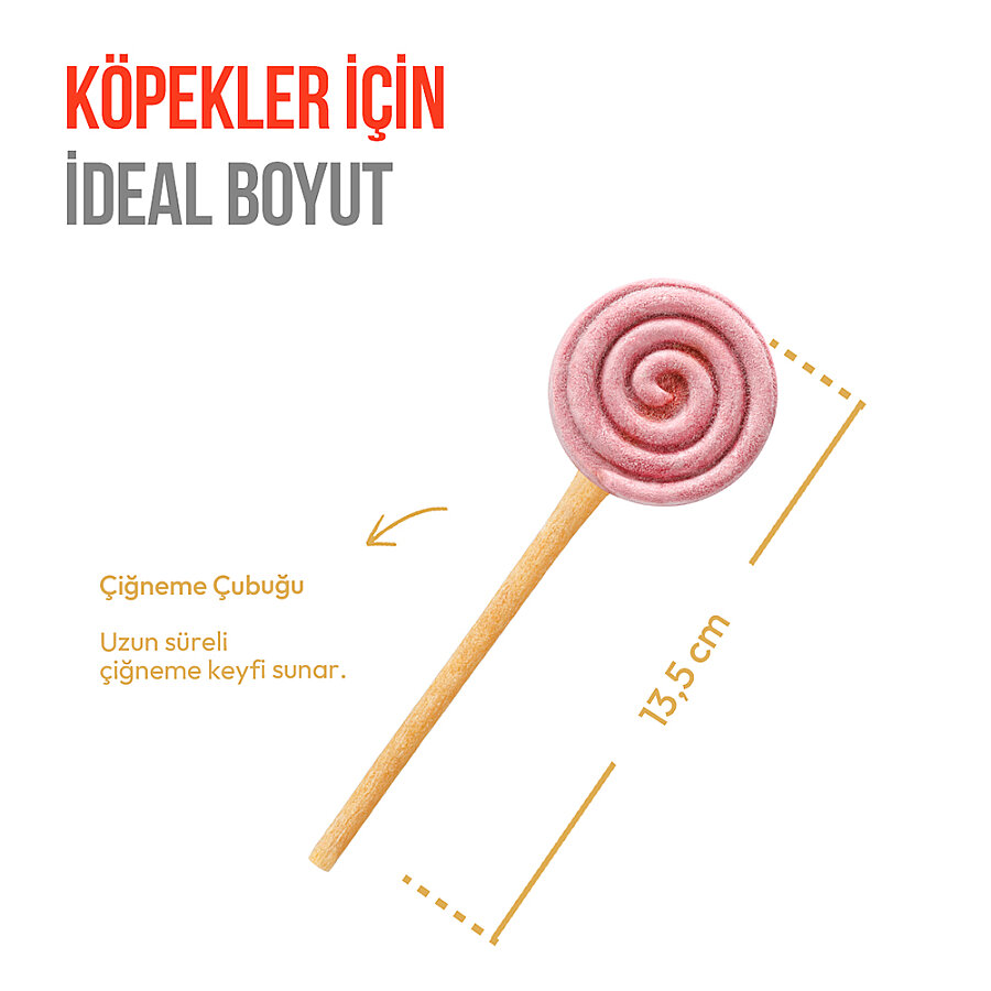 Wanpy LolliPop Dondurularak Kurutulmuş Yaban Mersinli Lolipop Köpek Ödülü 6 gr (10'lu)
