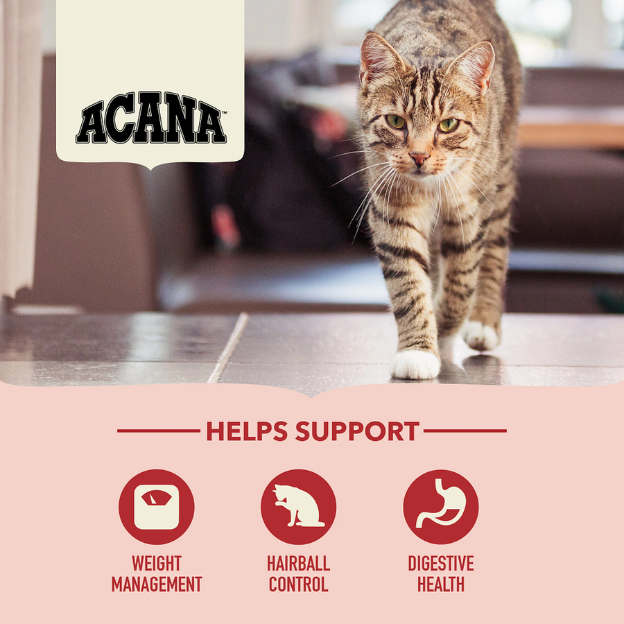 Acana Indoor Entrée 340 g Tavuklu, Hindili ve Balıklı Tüy Yumağı Kontrolü Yetişkin Kedi Maması