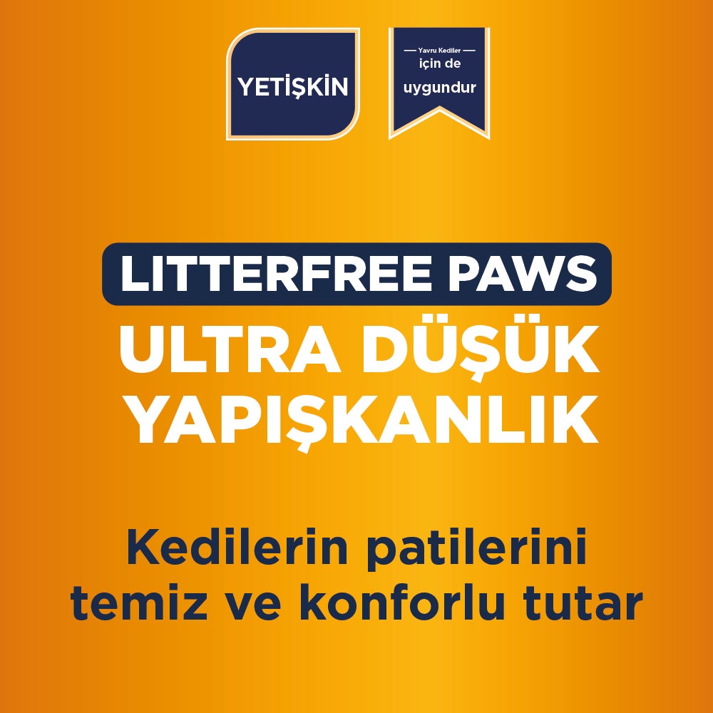 Ever Clean Litterfree Paws 10 LT Patilere Yapışmayı Azaltan Topaklanan Bentonit Kedi Kumu