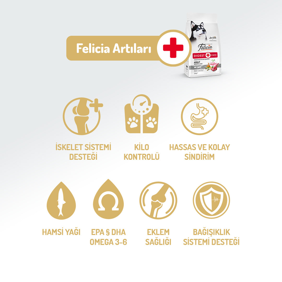 Felicia Digest Care 3 Kg Kolajen Destekli Hipoalerjenik Kuzulu Orta ve Büyük Irk Yetişkin Köpek Maması