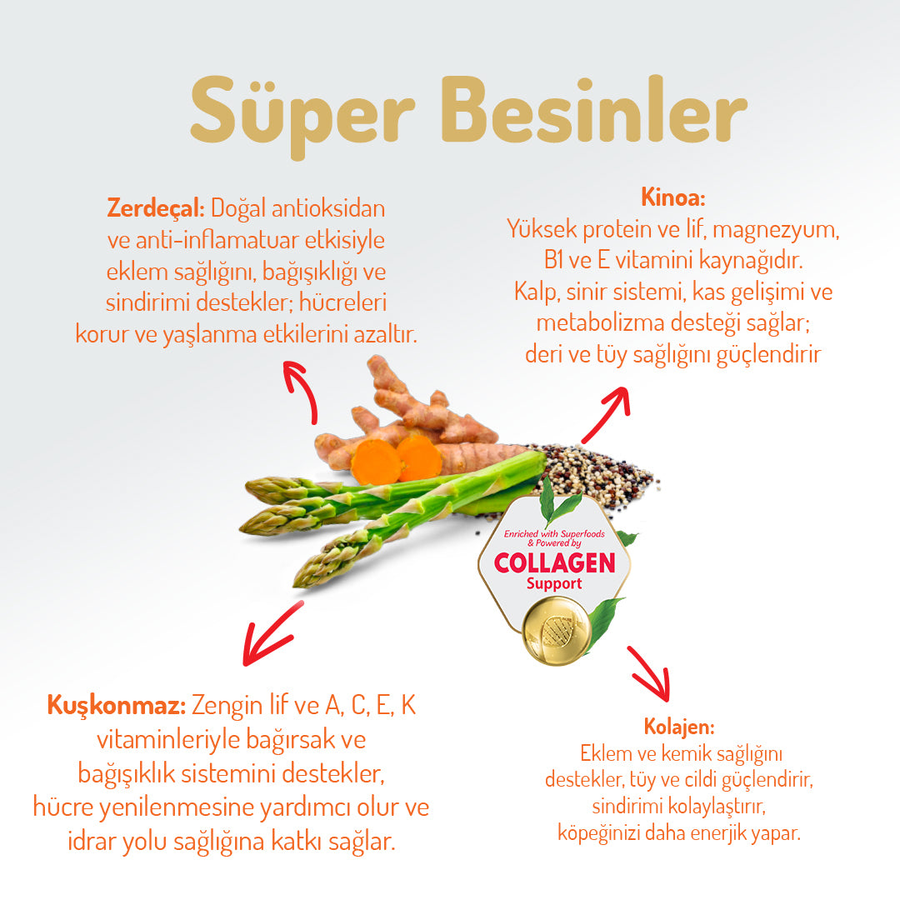 Felicia Digest Care 3 Kg Kolajen Destekli Hipoalerjenik Kuzulu Orta ve Büyük Irk Yetişkin Köpek Maması