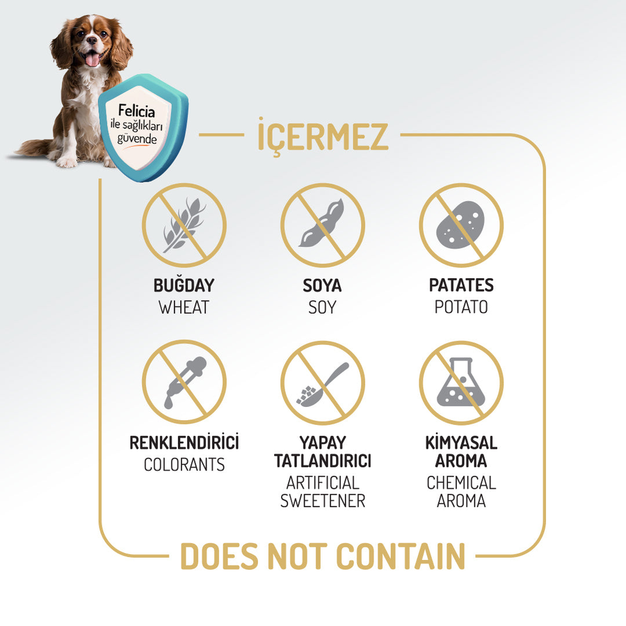 Felicia Digest Care 3 Kg Kolajen Destekli Hipoalerjenik Kuzulu Orta ve Büyük Irk Yetişkin Köpek Maması