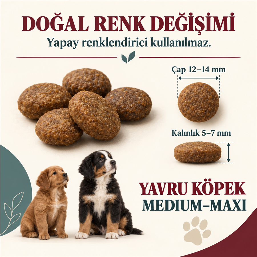 N&D Ancestral Grain Düşük Tahıllı Kuzulu ve Yaban Mersinli 12 Kg Orta ve Büyük Irk Yavru Köpek Maması