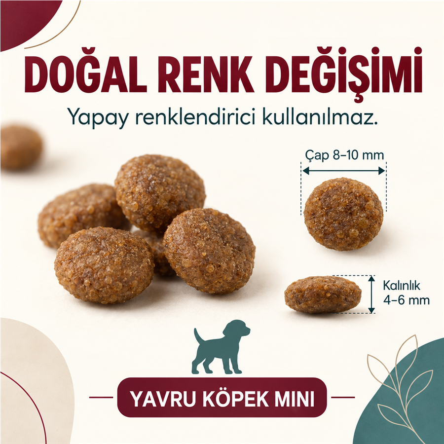 N&D Ancestral Grain غذای کم‌غلات توله‌سگ نژاد کوچک با مرغ و انار 2.5 کیلوگرم
