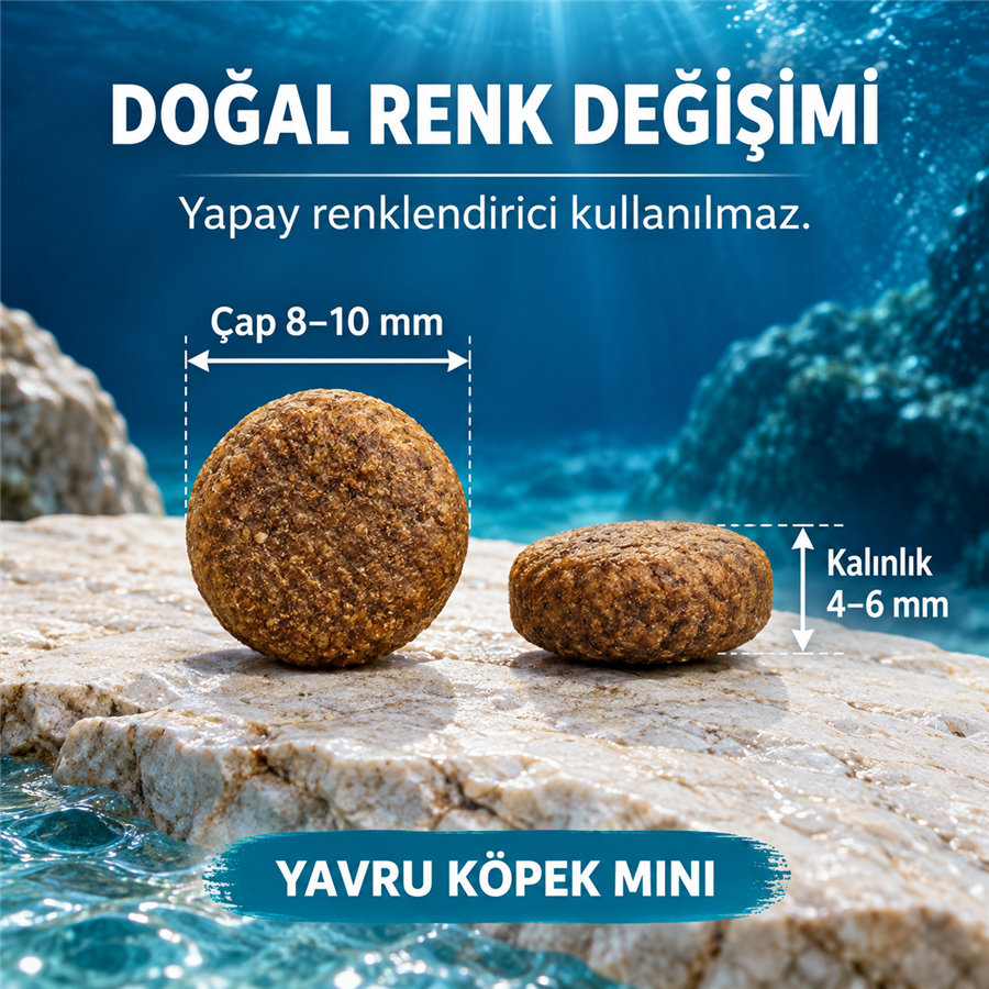 N&D Ocean Tahılsız Morina Balıklı, Balkabaklı ve Kavunlu 800 g Küçük Irk Yavru Köpek Maması