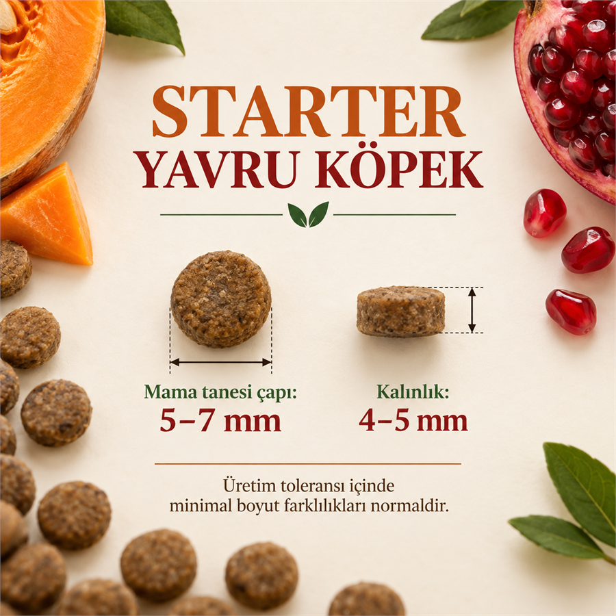 N&D Pumpkin Starter Tahılsız Tavuklu, Balkabaklı ve Narlı 2,5 Kg Tüm Irklar İçin Anne ve Yavru Köpek Maması