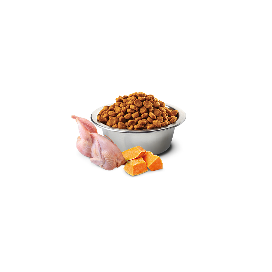 N&D Pumpkin Tahılsız Bıldırcınlı, Balkabaklı ve Narlı 5 Kg Yetişkin Kedi Maması