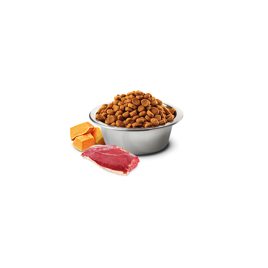N&D Pumpkin غذای بدون غلات گربه بالغ با اردک و کدو تنبل و طالبی 5 کیلوگرم