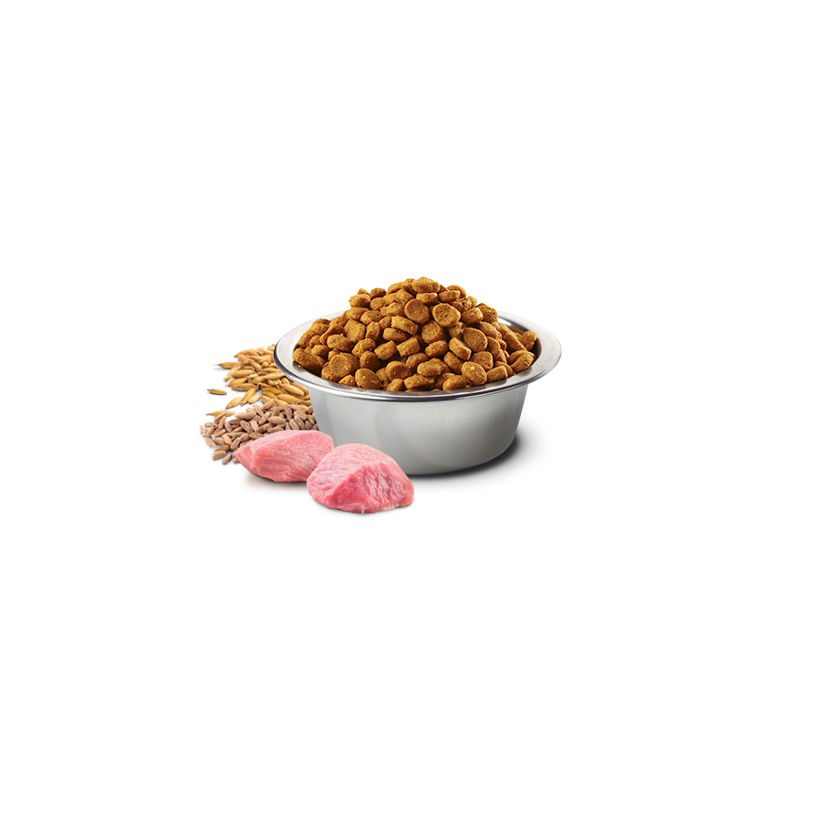 N&D Tropical Selection Kuzulu, Kavuzlu Buğdaylı, Yulaflı ve Tropikal Meyveli 1,5 Kg Küçük Irk Yetişkin Köpek Maması
