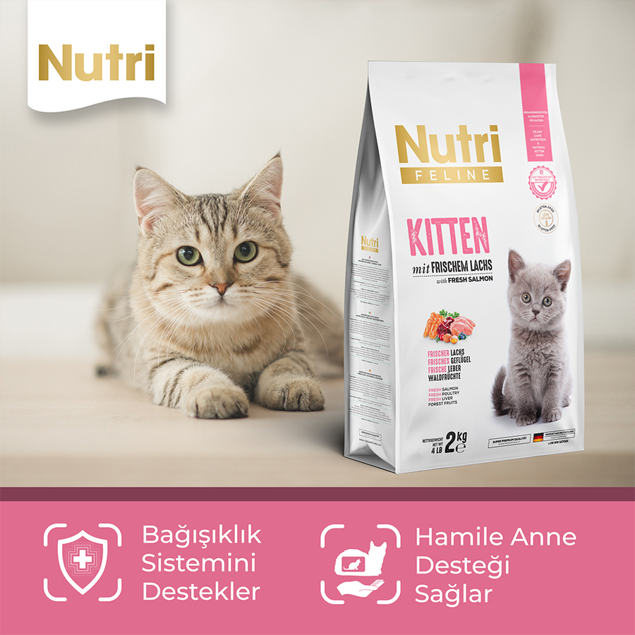 Nutri Feline Kitten 2 کیلوگرم غذای بچه‌گربه با سالمون
