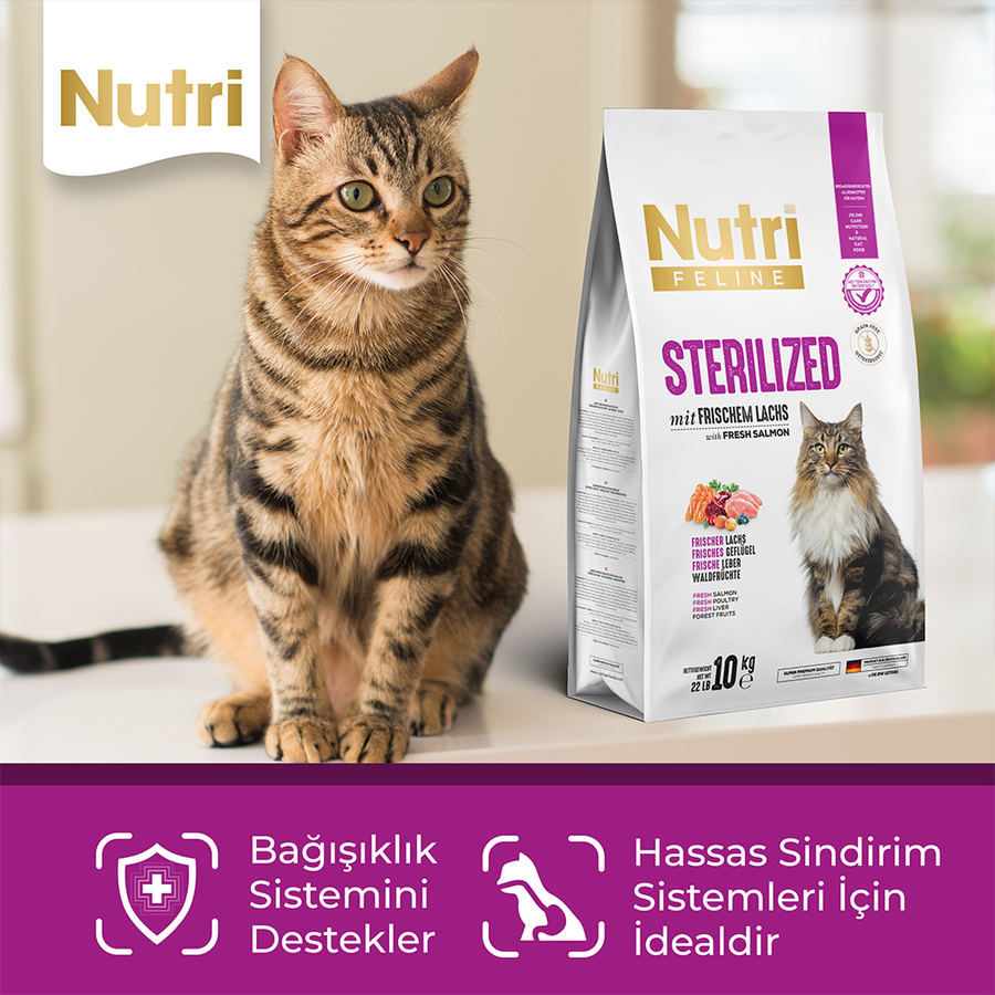 Nutri Feline Sterilised 10 کیلوگرم غذای بدون غلات گربه عقیم‌شده با سالمون