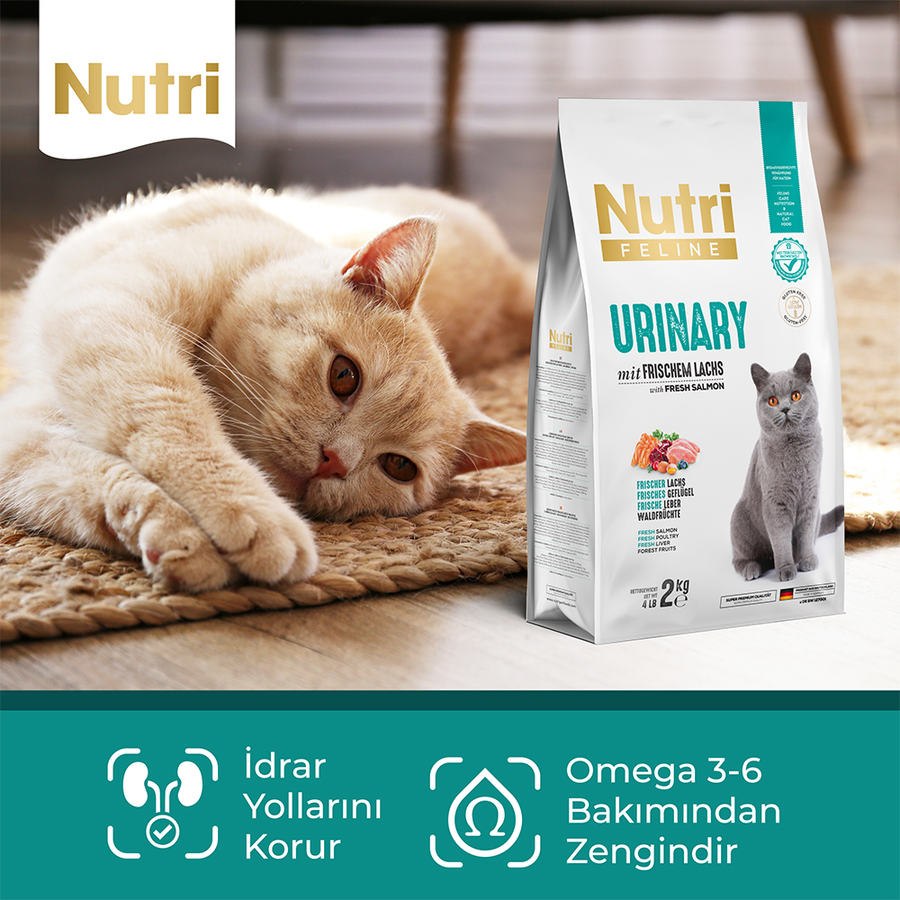 Nutri Feline Urinary 10 Kg Somonlu Düşük Tahıllı Yetişkin Kedi Maması