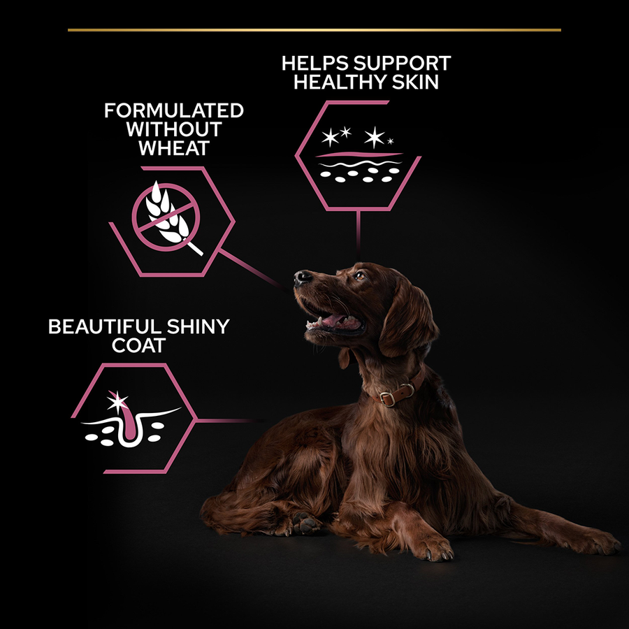 Purina Pro Plan Large Athletic Adult Sensitive Skin Salmon 14 Kg Somonlu Büyük Irk Yetişkin Köpek Maması