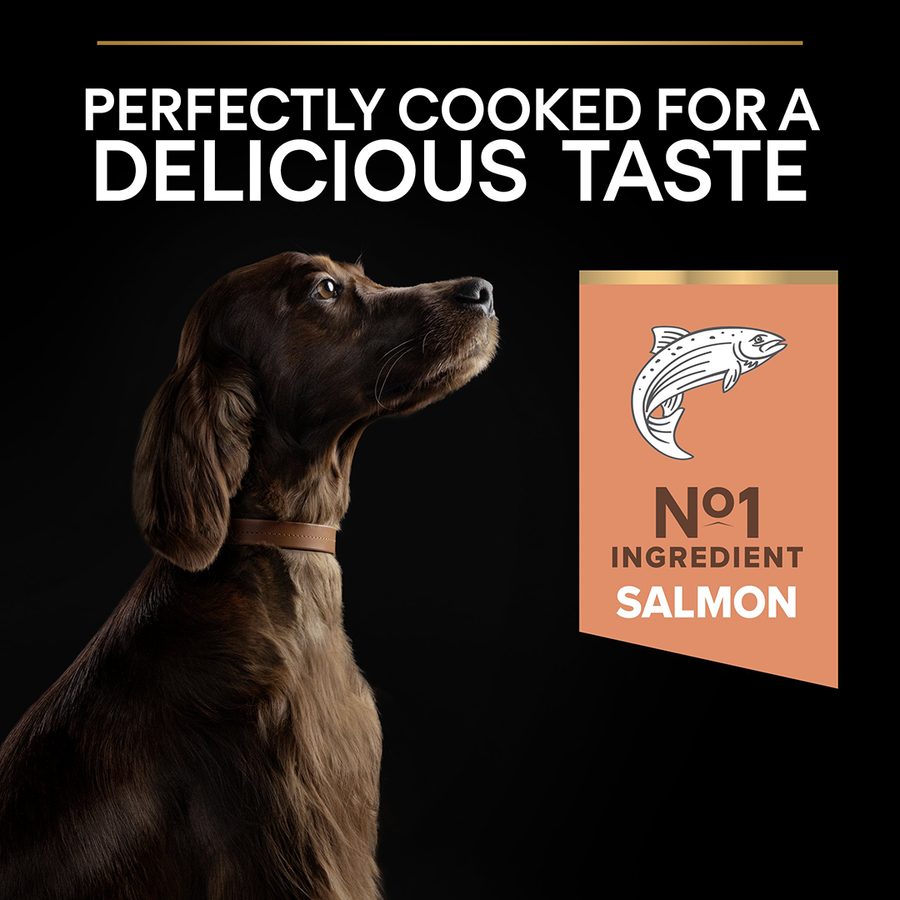 Purina Pro Plan Large Athletic Adult Sensitive Skin Salmon 14 Kg Somonlu Büyük Irk Yetişkin Köpek Maması