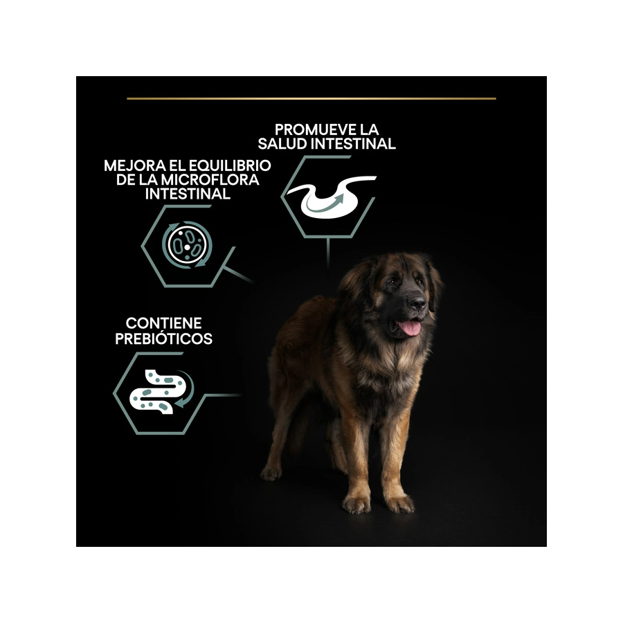 Purina Pro Plan Large Robust Adult Sensitive Digestion Lamb 14 Kg Kuzulu Büyük Irk Yetişkin Köpek Maması