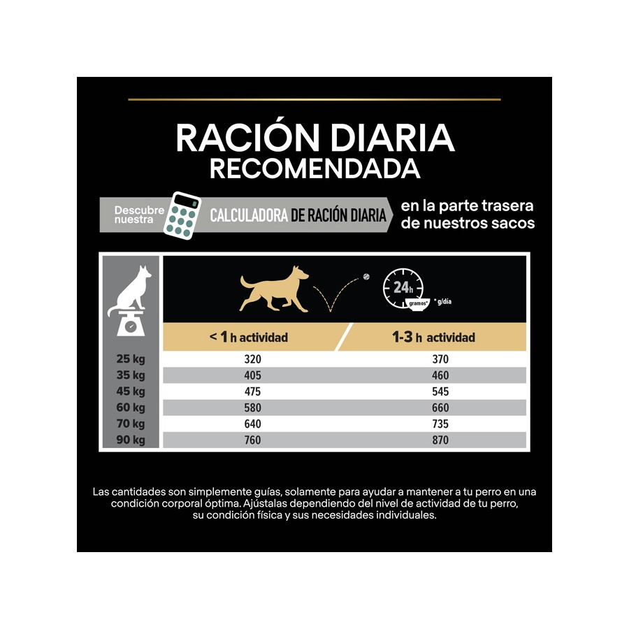Purina Pro Plan Large Robust Adult Sensitive Digestion Lamb 14 Kg Kuzulu Büyük Irk Yetişkin Köpek Maması