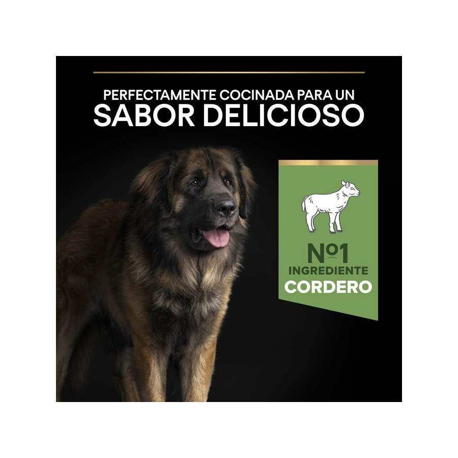 Purina Pro Plan Large Robust Adult Sensitive Digestion Lamb 14 Kg Kuzulu Büyük Irk Yetişkin Köpek Maması