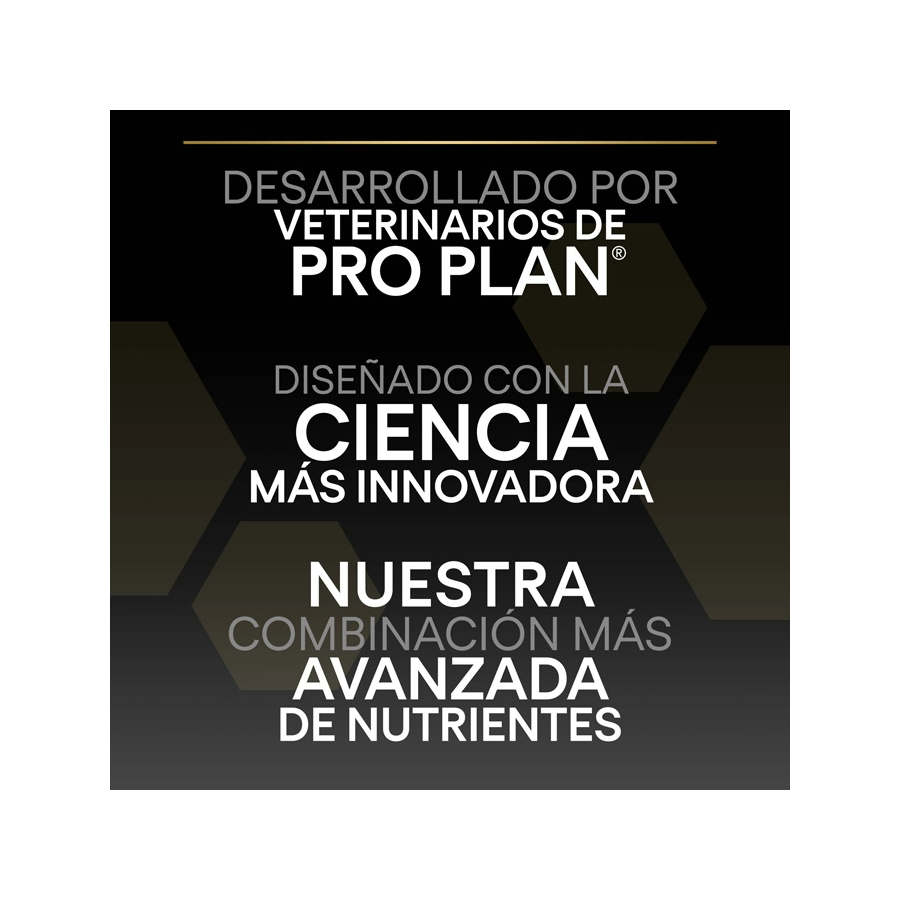 Purina Pro Plan Large Robust Adult Sensitive Digestion Lamb 14 Kg Kuzulu Büyük Irk Yetişkin Köpek Maması