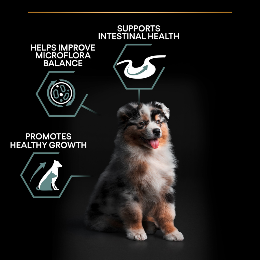 Purina Pro Plan Medium Puppy Sensitive Digestion Lamb 12 Kg Kuzulu Orta Irk Yavru Köpek Maması