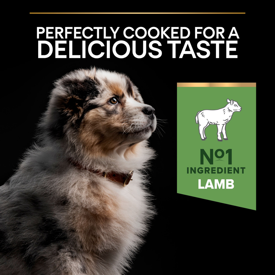 Purina Pro Plan Medium Puppy Sensitive Digestion Lamb 12 Kg Kuzulu Orta Irk Yavru Köpek Maması