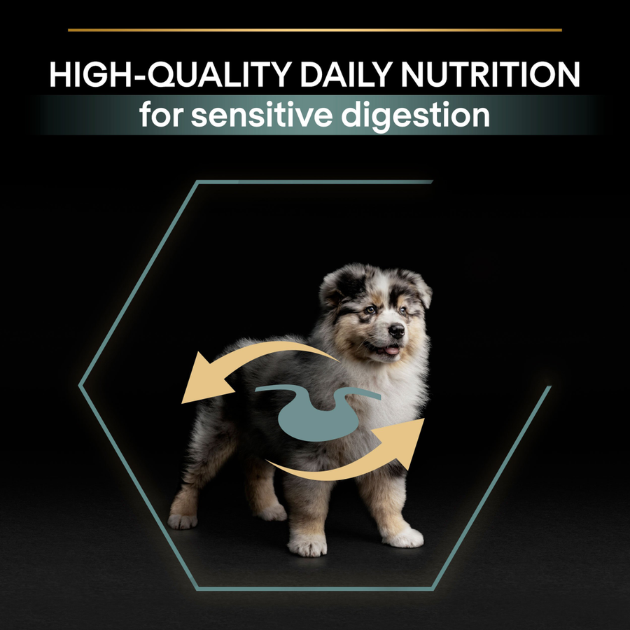 Purina Pro Plan Medium Puppy Sensitive Digestion Lamb 12 Kg Kuzulu Orta Irk Yavru Köpek Maması