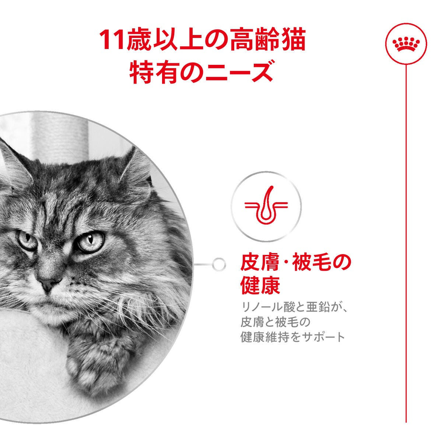 Royal Canin Ageing 12+ 2 Kg Yaşlı Kedi Maması