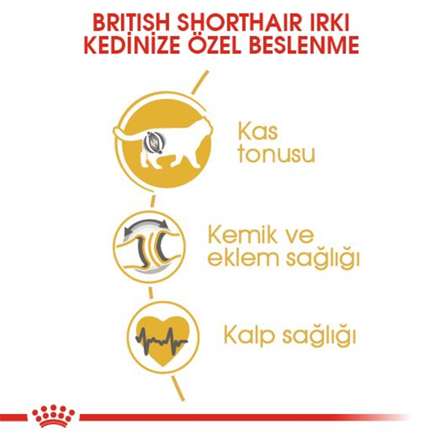 Royal Canin British Shorthair Adult 4 کیلوگرم غذای گربه بالغ