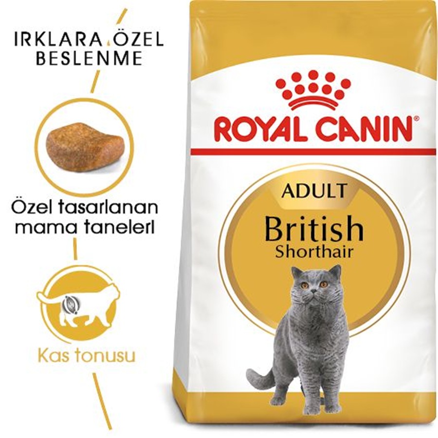 Royal Canin British Shorthair Adult 4 کیلوگرم غذای گربه بالغ