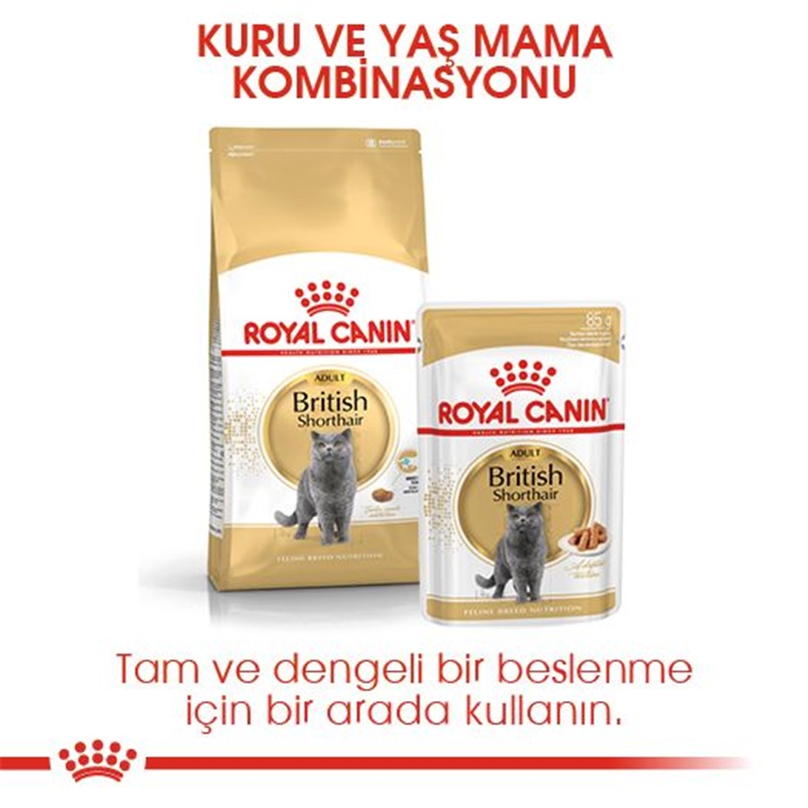 Royal Canin British Shorthair Adult 4 کیلوگرم غذای گربه بالغ