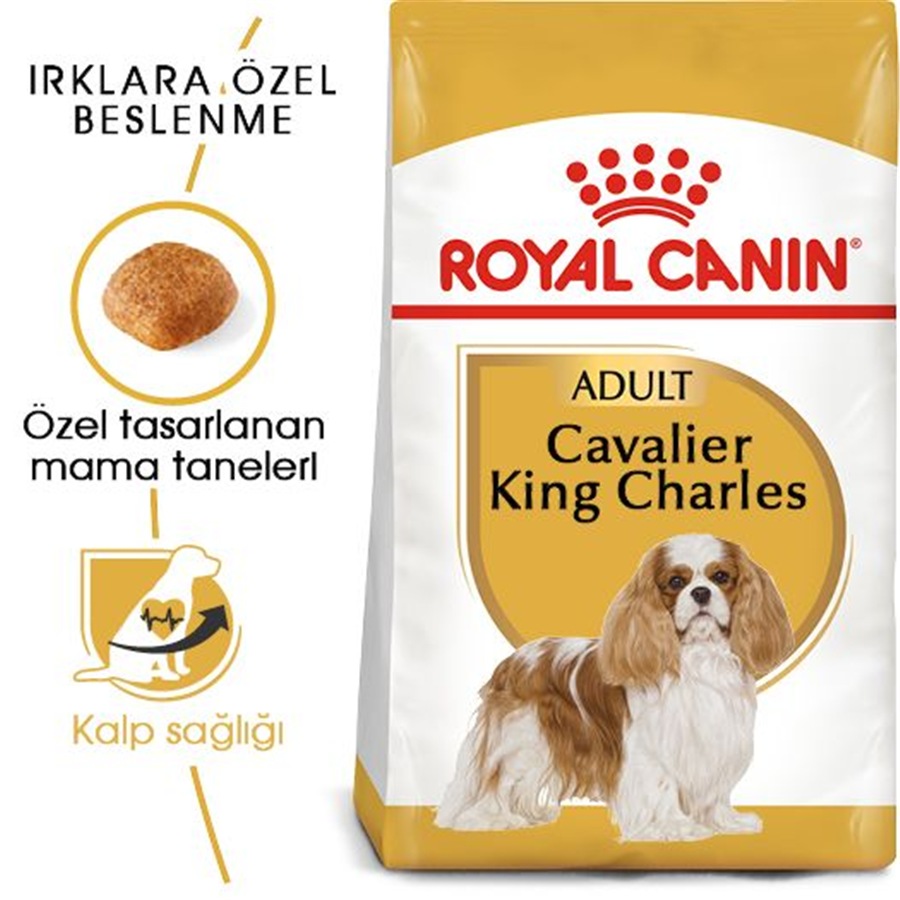 Royal Canin Cavalier King Charles Adult 1,5 Kg Yetişkin Köpek Maması