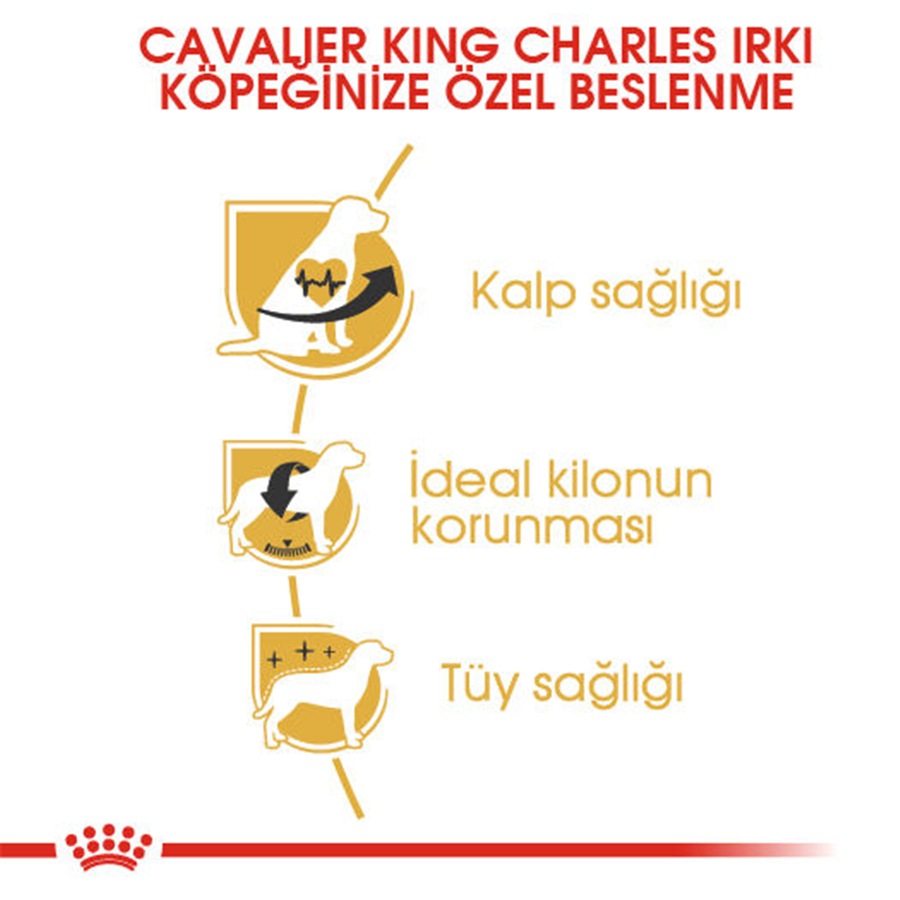 Royal Canin Cavalier King Charles Adult 1,5 Kg Yetişkin Köpek Maması