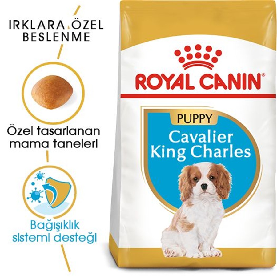 Royal Canin Cavalier King Charles Puppy 1,5 Kg Yavru Köpek Maması