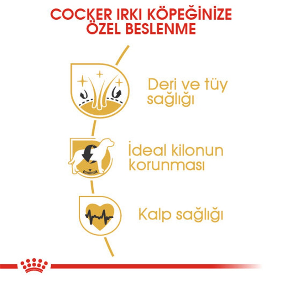 Royal Canin Cocker Adult 3 کیلوگرم غذای سگ بالغ