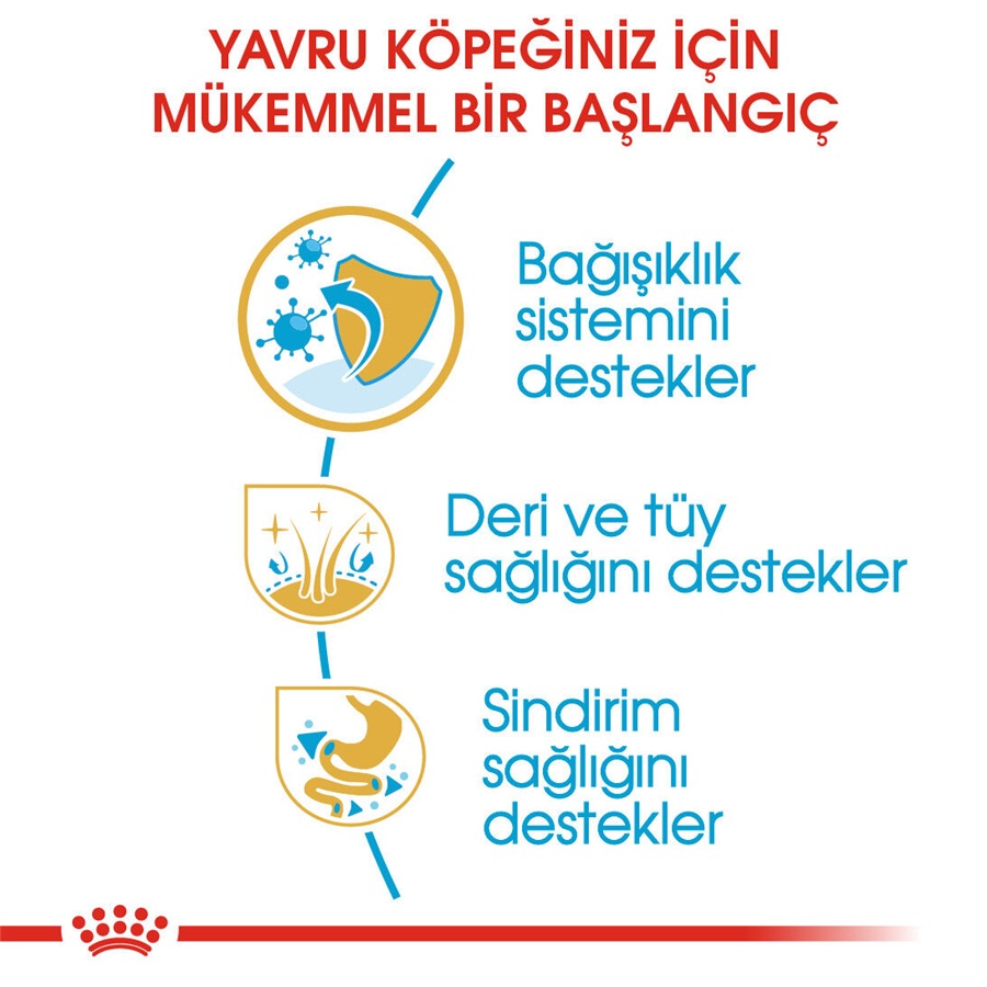 Royal Canin Cocker Puppy 3 کیلوگرم غذای توله‌سگ