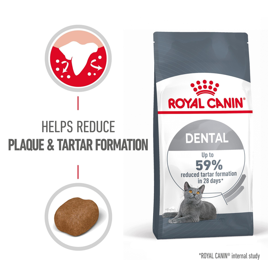 Royal Canin Dental Care 1,5 Kg سلامت دهان و دندان غذای گربه بالغ