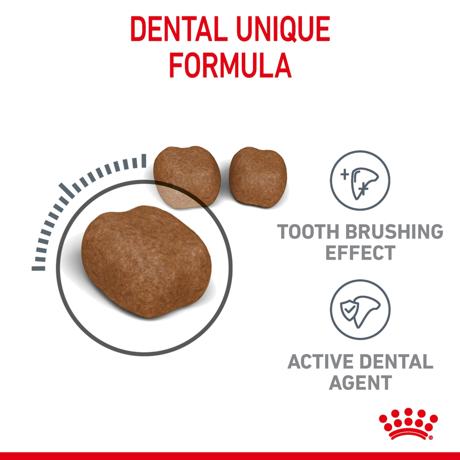 Royal Canin Dental Care 1,5 Kg سلامت دهان و دندان غذای گربه بالغ