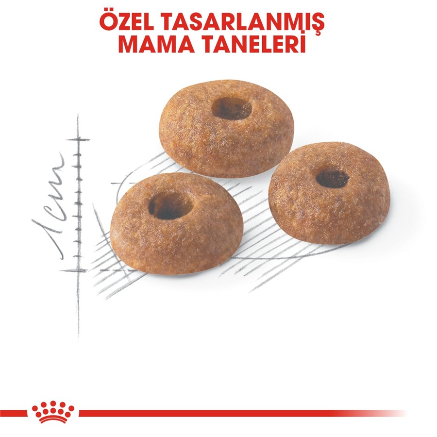 Royal Canin Fit 32 15 کیلوگرم غذای گربه بالغ
