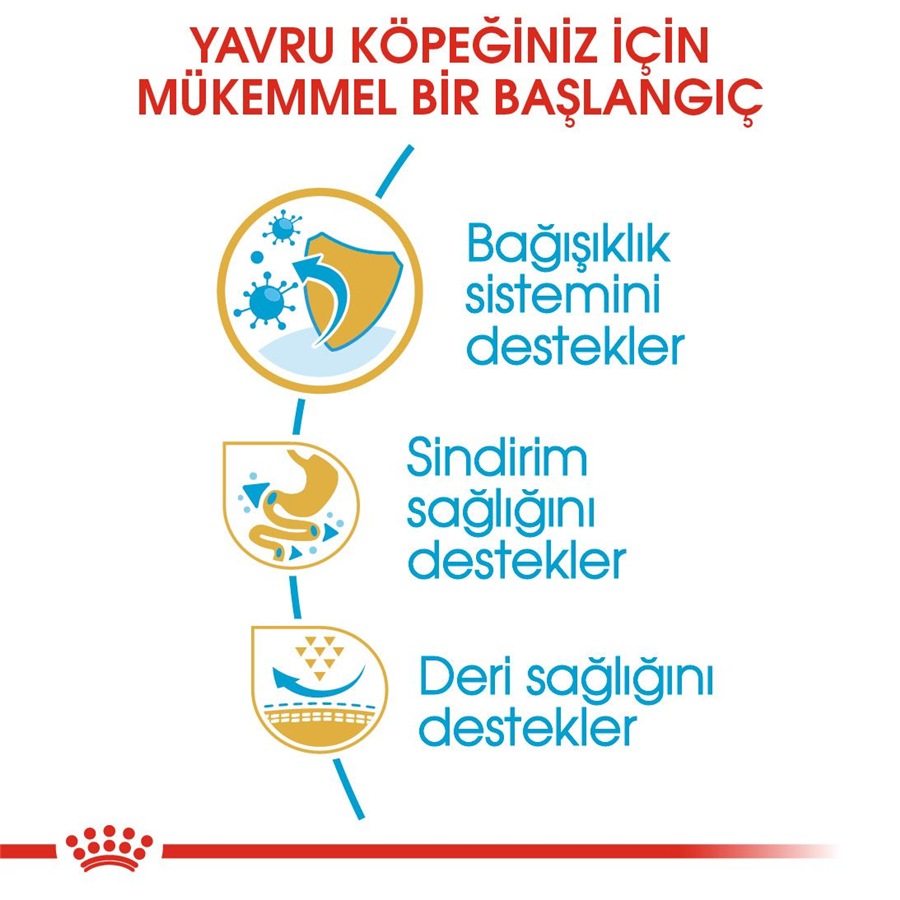 Royal Canin French Bulldog Puppy 3 Kg Yavru Köpek Maması