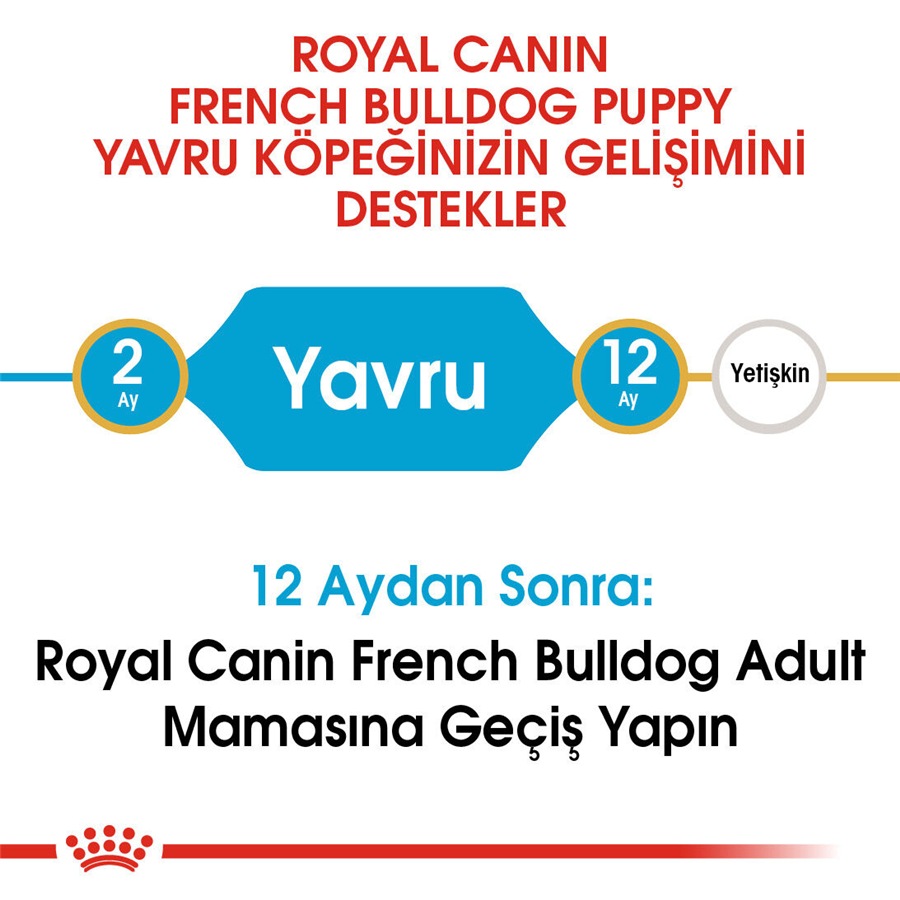 Royal Canin French Bulldog Puppy 3 Kg Yavru Köpek Maması