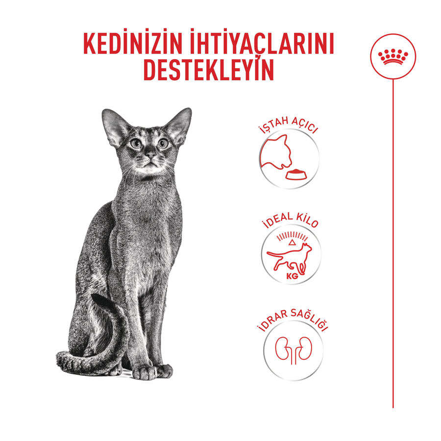 Royal Canin Fussy 4 Kg غذا برای گربه های بالغ پیکی