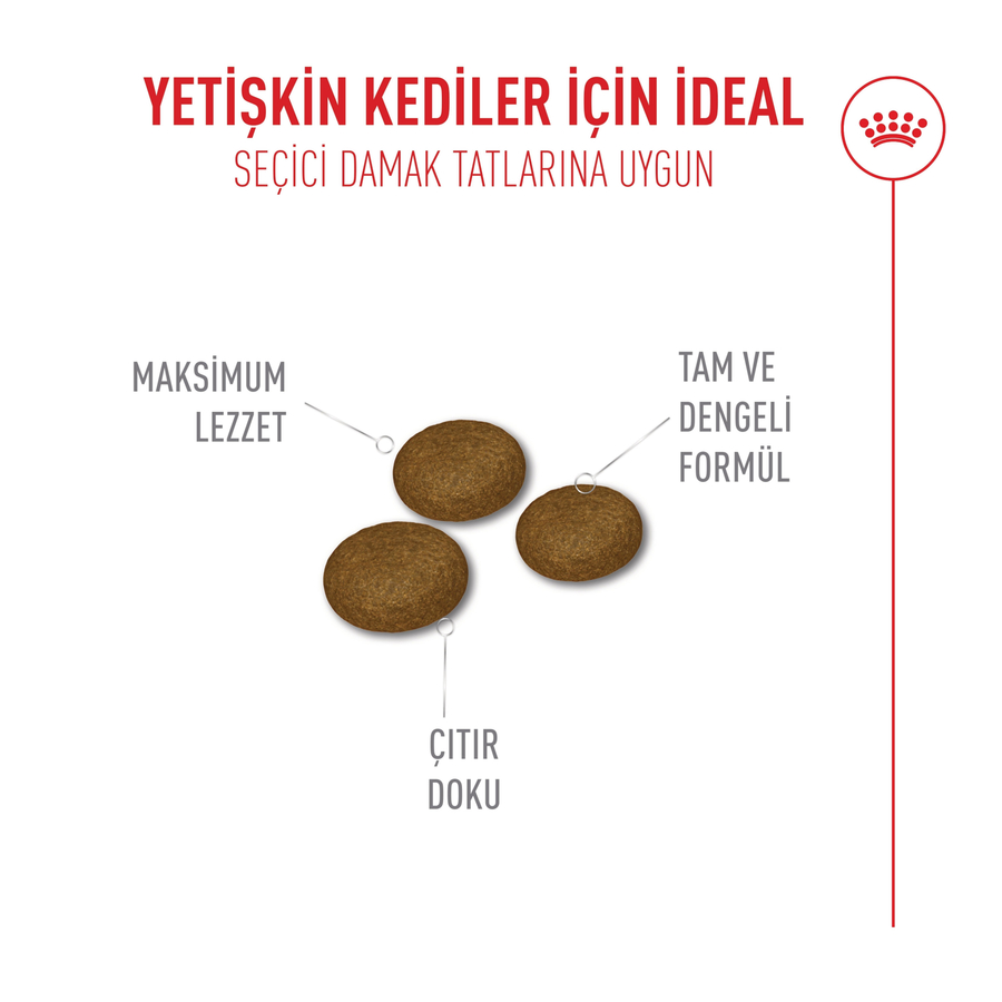 Royal Canin Fussy 400 Gr غذا برای گربه های بالغ پیکی