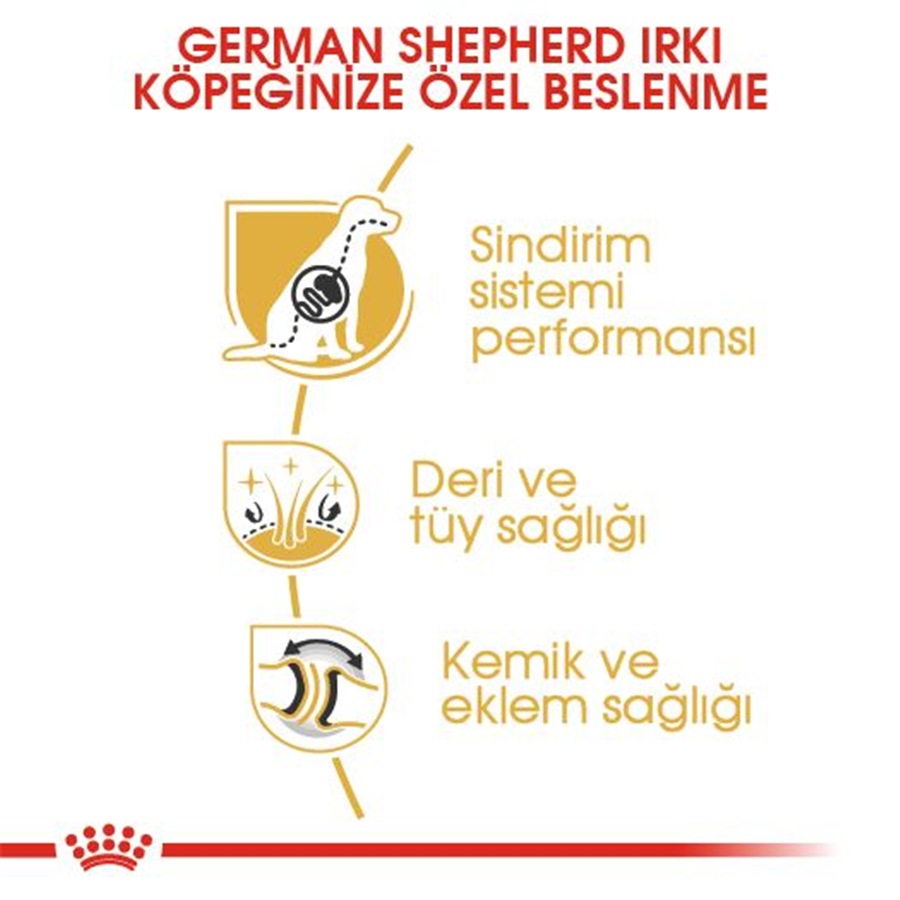 Royal Canin German Shepherd Adult 11 کیلوگرم غذای سگ بالغ