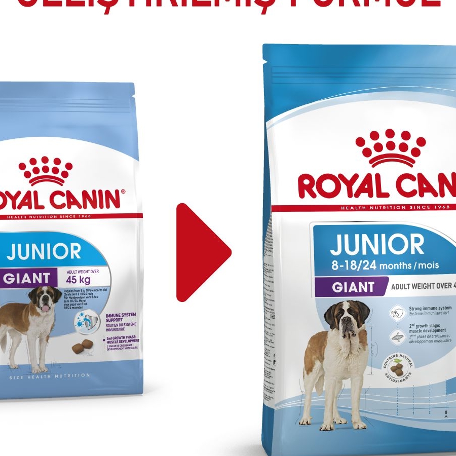 Royal Canin Giant Junior 15 Kg Dev Irk Yavru Köpek Maması
