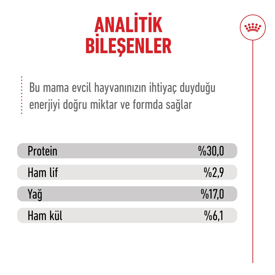 Royal Canin Healthy Ageing 11+ 2 Kg Yaşlı Kedi Maması