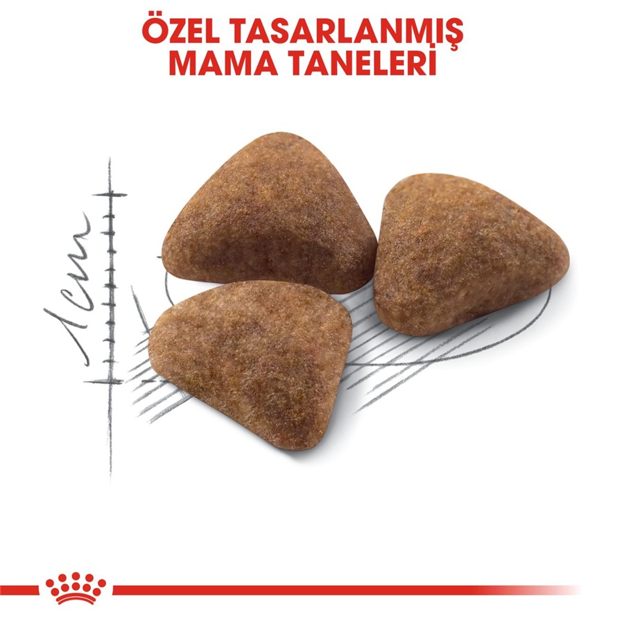 Royal Canin Indoor 27 400 گرم غذای گربه بالغ
