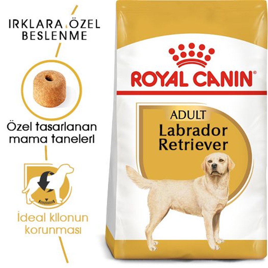 Royal Canin Labrador Retriever Adult 12 کیلوگرم غذای سگ بالغ