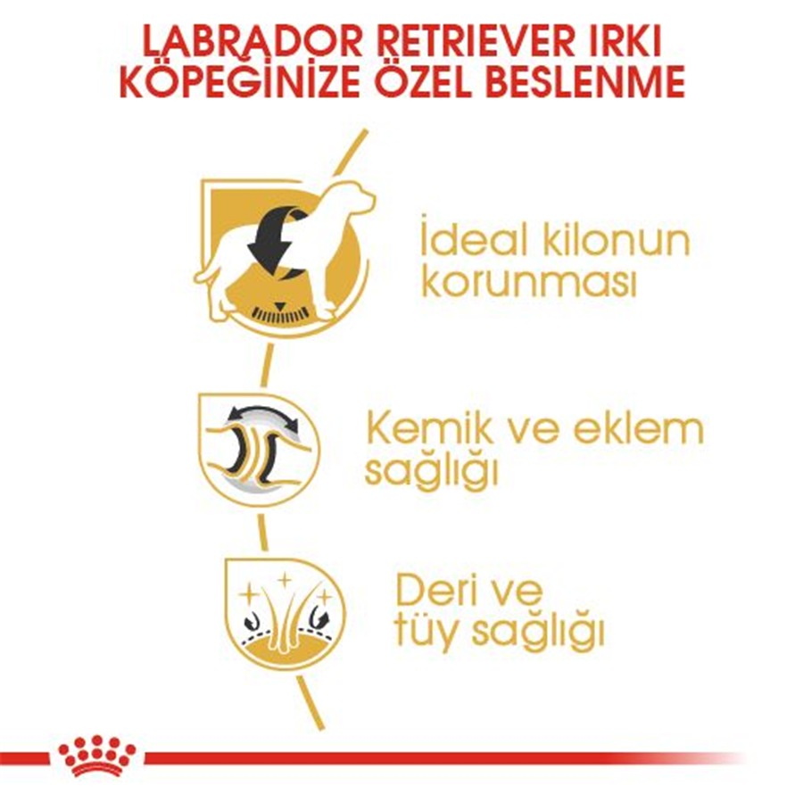 Royal Canin Labrador Retriever Adult 12 کیلوگرم غذای سگ بالغ